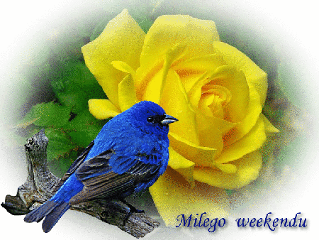 Ptaszek życzy miłego weekendu